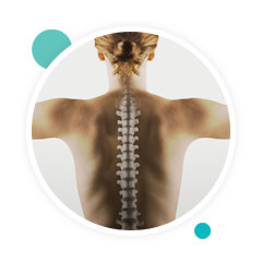 Une colonne vertébrale en bonne santé = un corps en bonne santé.